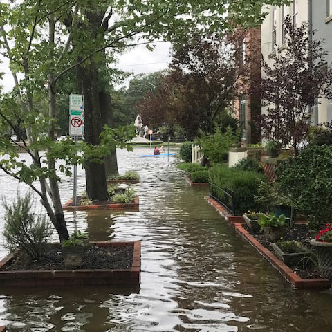 موارد التوعية