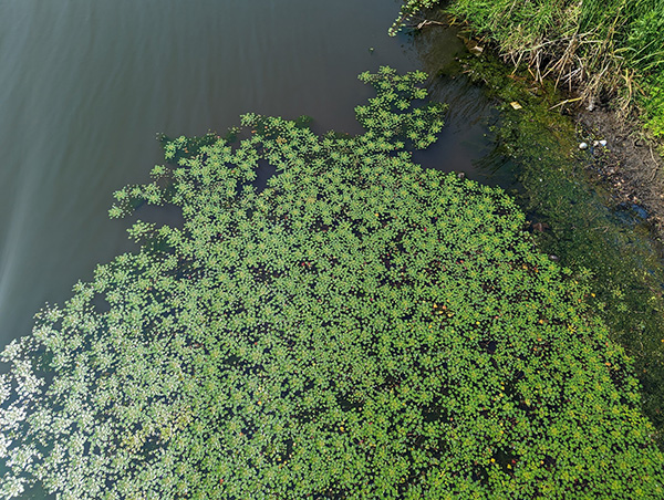 تراب ذو القرنين - صورة كيفن هيفرنان DCR