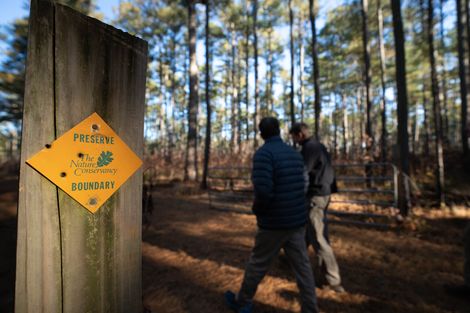 منظمة الحفاظ على الطبيعة