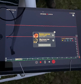 جهاز مراقبة الخفاش