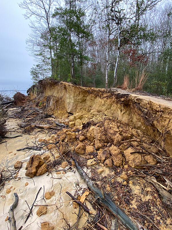 الخط الساحلي في متنزه نهر يورك ستيت بارك قبل التثبيت
