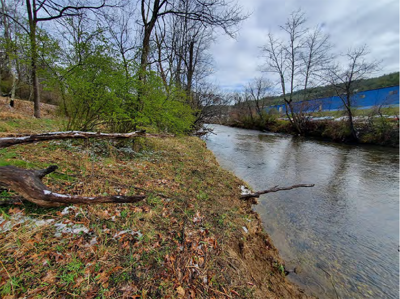 تبرع أرض ديكسون للأخشاب ديكسون