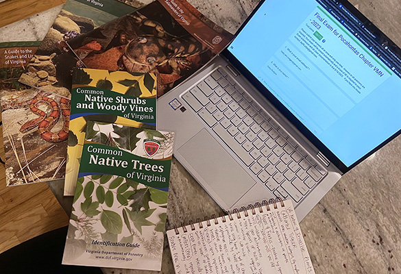 مواد الامتحان النهائي