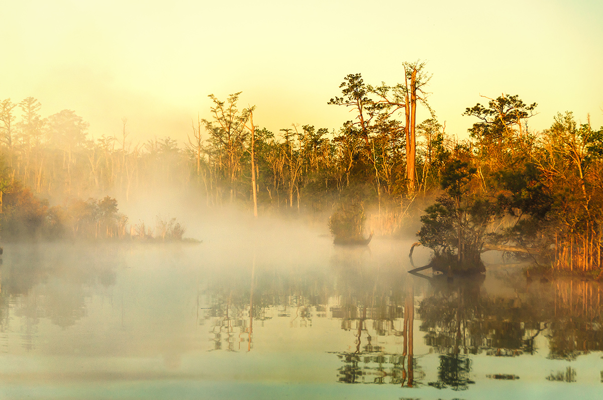 نهر نورث لاندينغ الضبابي، جائزة شرفية، تصوير إريك مور