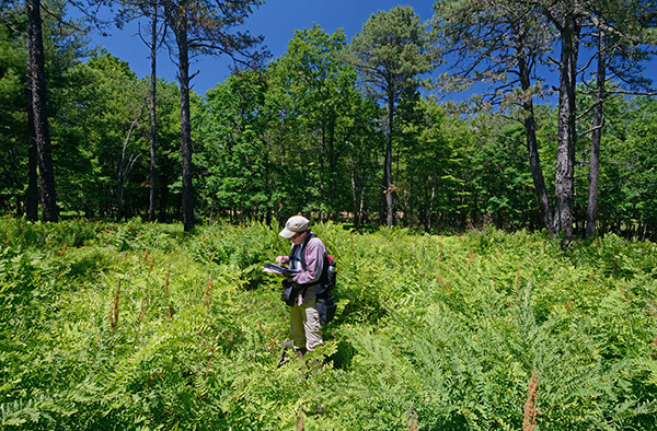 كارين باترسون