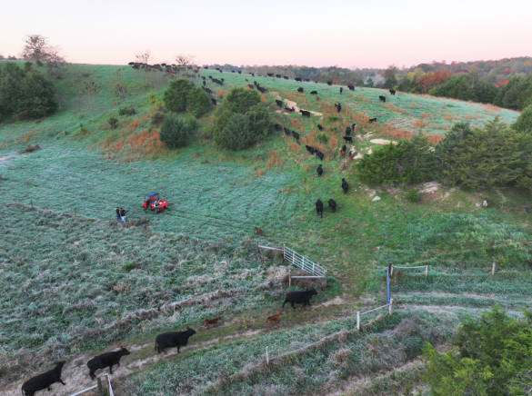 الرعي الدوراني