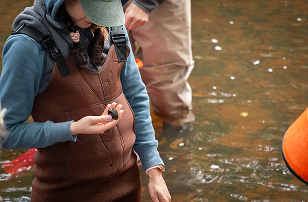 شيفا تورابيان