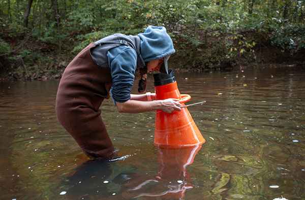 شيفا تورابيان