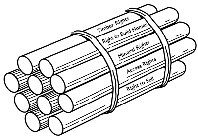 حزمة من العصي