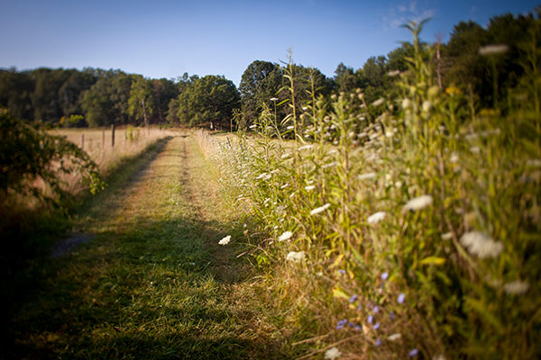 متنزه ولاية شيناندواه ريفر ريفر صور ساكسمن للتصوير الفوتوغرافي