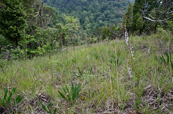 محمية منطقة كليفلاند بارينز الطبيعية
