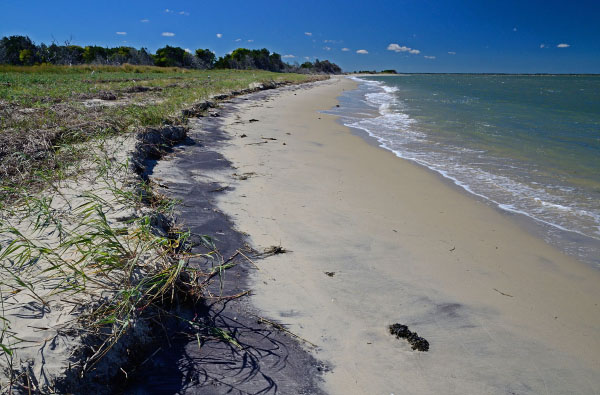 محمية جزيرة بارامور الطبيعية