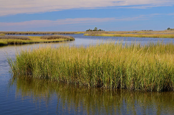 المحمية الطبيعية لمنطقة جزر ماركس وجاكس الطبيعية