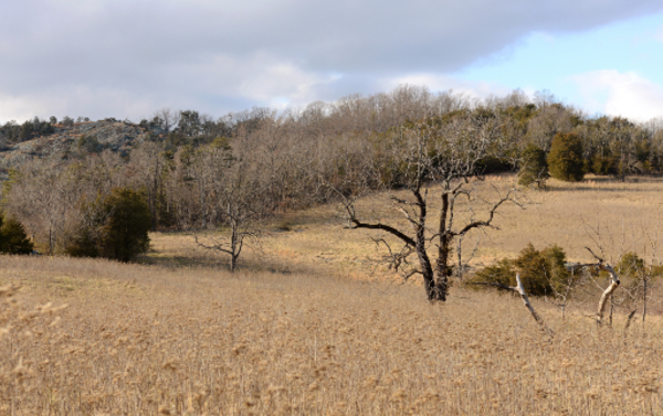 محمية منطقة بولد نوب الطبيعية