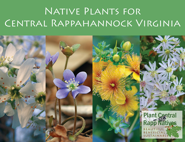 صورة غلاف دليل النباتات