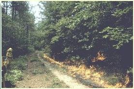 موظفو دائرة الموارد الطبيعية في واشنطن العاصمة يقومون بعملية حرق موصوفة في محمية تشوب ساندهيل الطبيعية