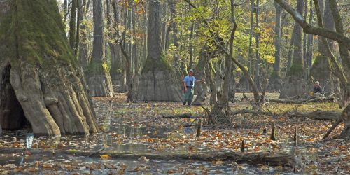 cypress bridge nap photo