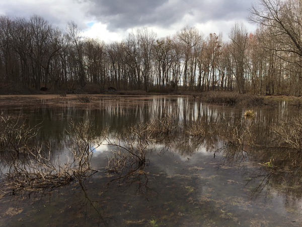 محمية ليندهرست بوندز بوندز الطبيعية
