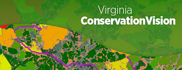 فيرجينيا كونسيرفيجن