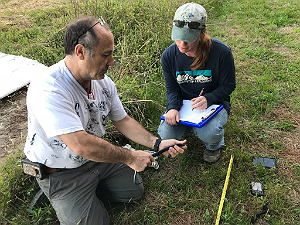 قياس الثعبان