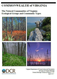 غلاف قائمة مجتمع الصور