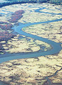 صورة لمصبات الأنهار