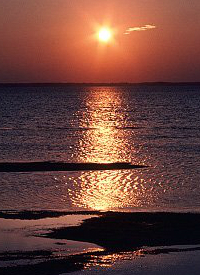 صورة البحرية