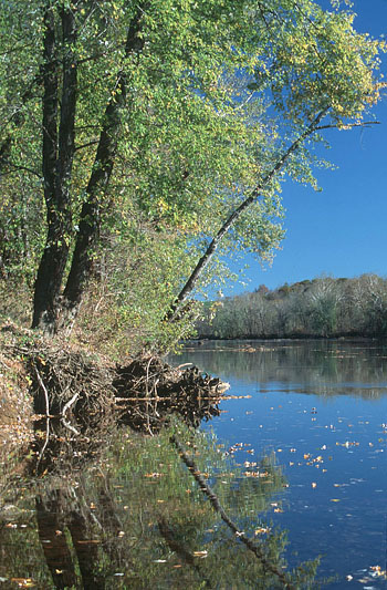 صورة لنهر جيمس والسهل الفيضي