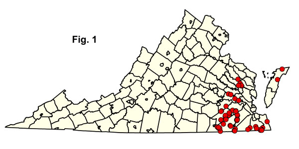 خريطة المجتمعات
