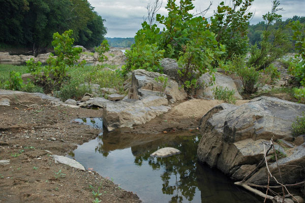 صورة لنهر المد والجزر عالي الطاقة