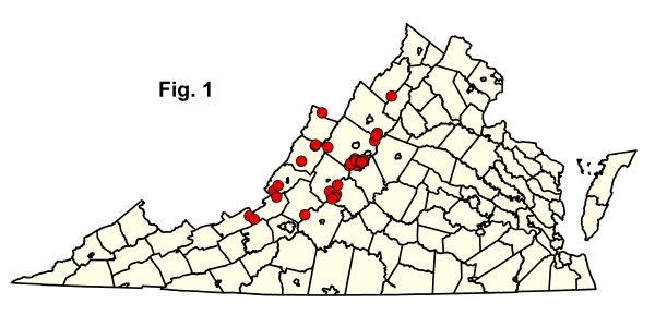 خريطة المجتمعات