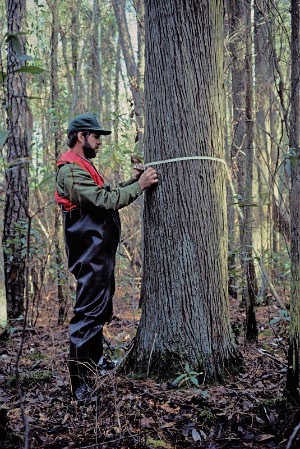 صورة لنهر المد والجزر عالي الطاقة