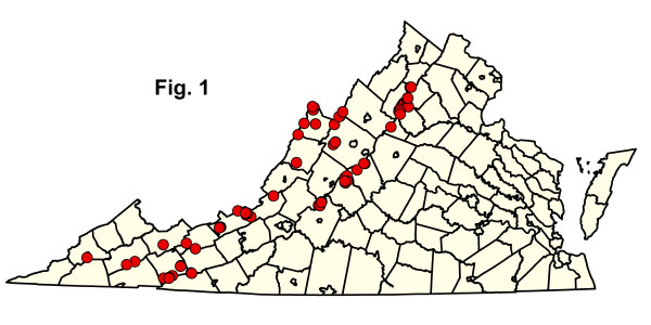 خريطة المجتمعات