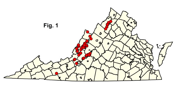 خريطة المجتمعات