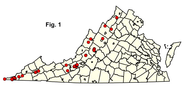 خريطة المجتمعات