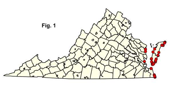 خريطة المجتمعات