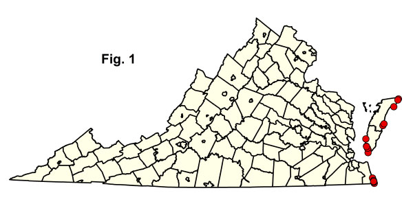 خريطة المجتمعات