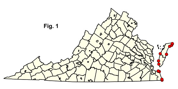 خريطة المجتمعات
