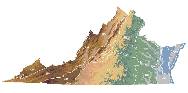 هذا الرابط يفتح نافذة متصفح جديدة لعرض صورة أكبر