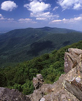 صورة للنتوءات الصخرية والغابات