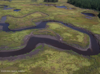 مجمع مستنقعات الشاطئ الشرقي المالح مجمع مستنقعات الشاطئ الشرقي المالح