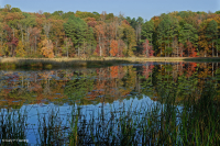 الحجز شبه الدائم (غير مصنف)