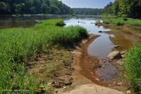 ووتر-ويلو روكي بار وشاطئ ويلو - CEGL004286 ووتر-ويلو روكي بار وشاطئ ويلو - CEGL004286