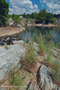 مروج بيدمونت/وسط جبال الأبالاش/وسط الأبالاش - CEGL006478 مروج بيدمونت/وسط جبال الأبالاش/وسط الأبالاش - CEGL006478