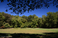 بركة بالوعة وادي شيناندواه (نوع نموذجي) - CEGL007858