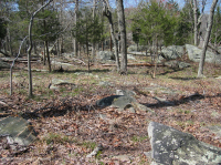 غابة بوتوماك ريفر بيدروك تراس هاردبان - CEGL006209 غابة بوتوماك ريفر بيدروك تراس هاردبان - CEGL006209