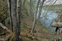 غابة بولديرفيلد الغنية المنخفضة الارتفاع في وسط جبال الأبلاش/بيدمونت - CEGL006471