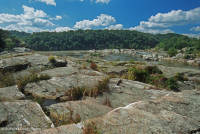 بوتوماك جورج بوتوماك ريفرسايد ريفرسايد بارين - CEGL006491 بوتوماك جورج بوتوماك ريفرسايد ريفرسايد بارين - CEGL006491