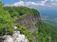 جرف الحجر الرملي الجاف في جبال كمبرلاند - CEGL004392 جرف الحجر الرملي الجاف في جبال كمبرلاند - CEGL004392