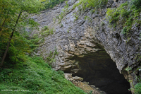 الجرف الجيري الكلسي الجاف الجاف الآبالاشي - CEGL004476 الجرف الجيري الكلسي الجاف الجاف الآبالاشي - CEGL004476